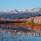 桜と雪山