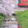 桜と名鉄