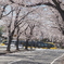 芳賀かしの森公園