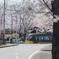 芳賀かしの森公園
