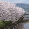 DSCF5122