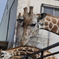 宇都宮動物園