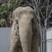 宇都宮動物園