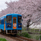 桜の軌道のレールバス