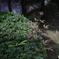 Zeiss Milvus 1.4/25 sample 006
