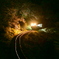 夜桜咲く‼️わたらせ渓谷鉄道