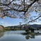 京都大覚寺　大沢池