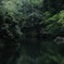 鎌倉絵巻…卯月 鎌倉湖
