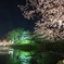 春光に魅せられて
