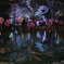 2024 桜風景