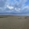 IMG_4941