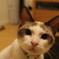 実は・・