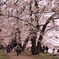 桜の森の満開の下