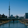 桜塔２