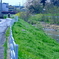 春の小川