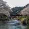 桜のある風景