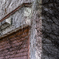 Building covered in ivy