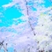 桜２３