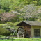 春の大和民族公園、①