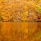 福島県　曲沢沼の紅葉