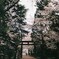 神社