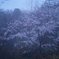 夜明けの弘法山