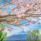 桜色富士