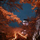 夜桜　津山城