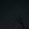星