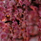 DSCF0231