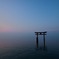 波×紋
