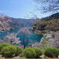 桜の奥多摩湖