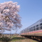 非電化路線の春