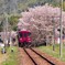 桜駅