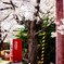 桜咲く街の一角
