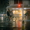 雨の夜
