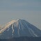 富士山 笛吹川フルーツ公園 山梨市 山梨県 DSC05733