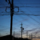 空仰げば電線。
