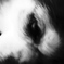 42DF0767-DA67-416D-9AD7-19301667061C-115