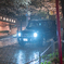 雨の夜桜とメルセデスベンツ。