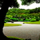 日本庭園③