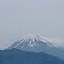 伊豆から見た富士