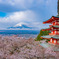 新倉山浅間公園　桜バージョン