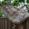 Tree overhanging a fence
