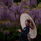 フジの花の咲く頃に