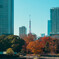 The東京