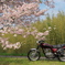 桜とSR400