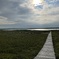 IMG_4161