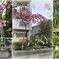 南青ハイツのお花　2024-4-1