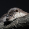 photo_1238940